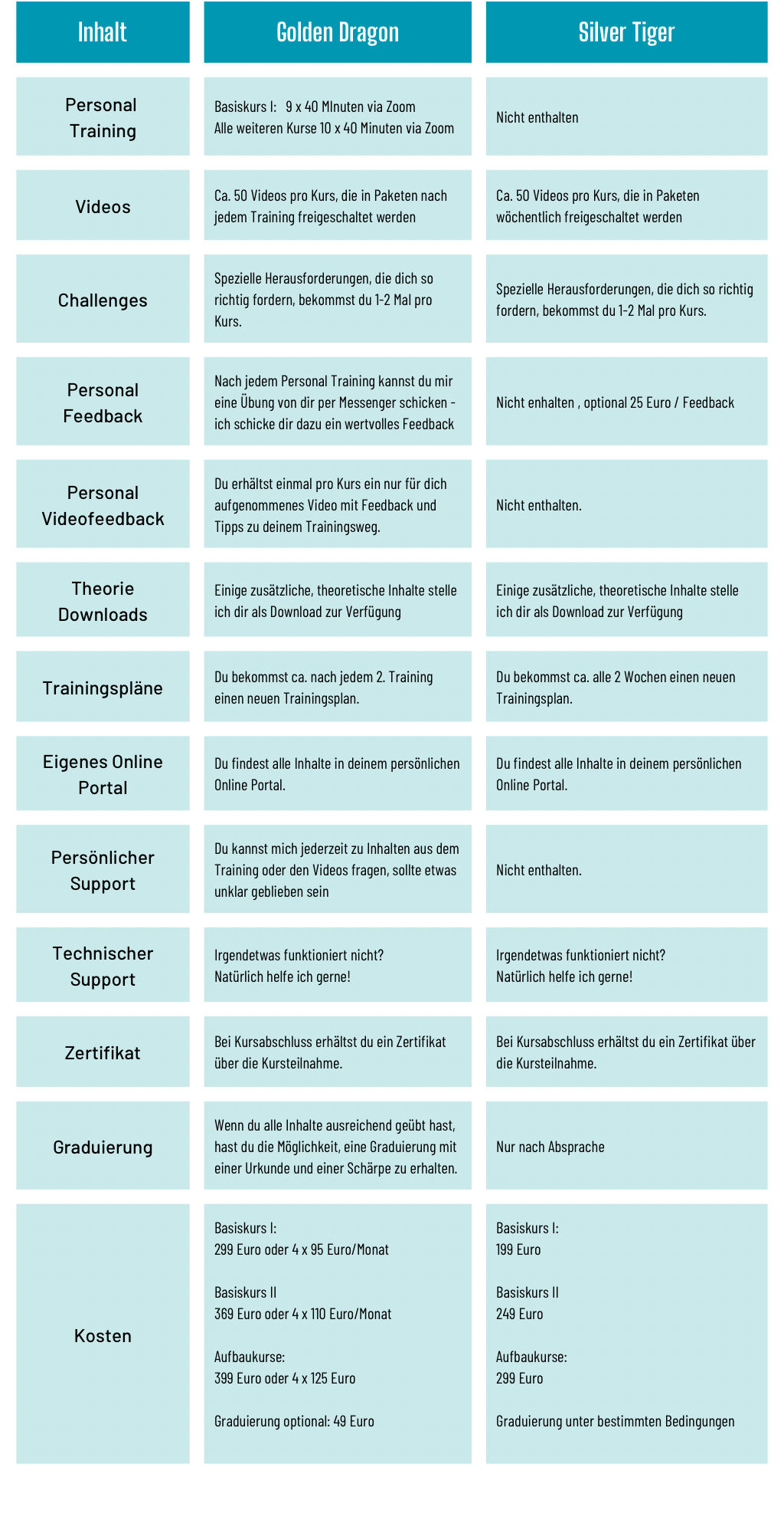 Blue Corporate Modern Problems and Solutions Comparison Chart Graphic